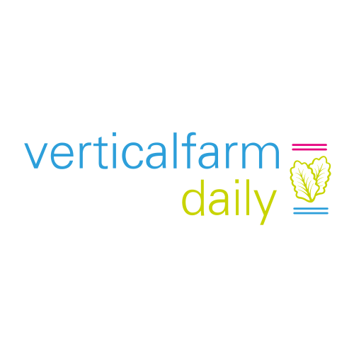 VFDaily-Header